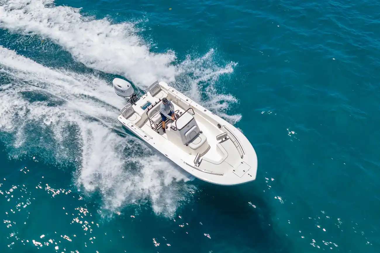 Sea Born LX21 - Image 5