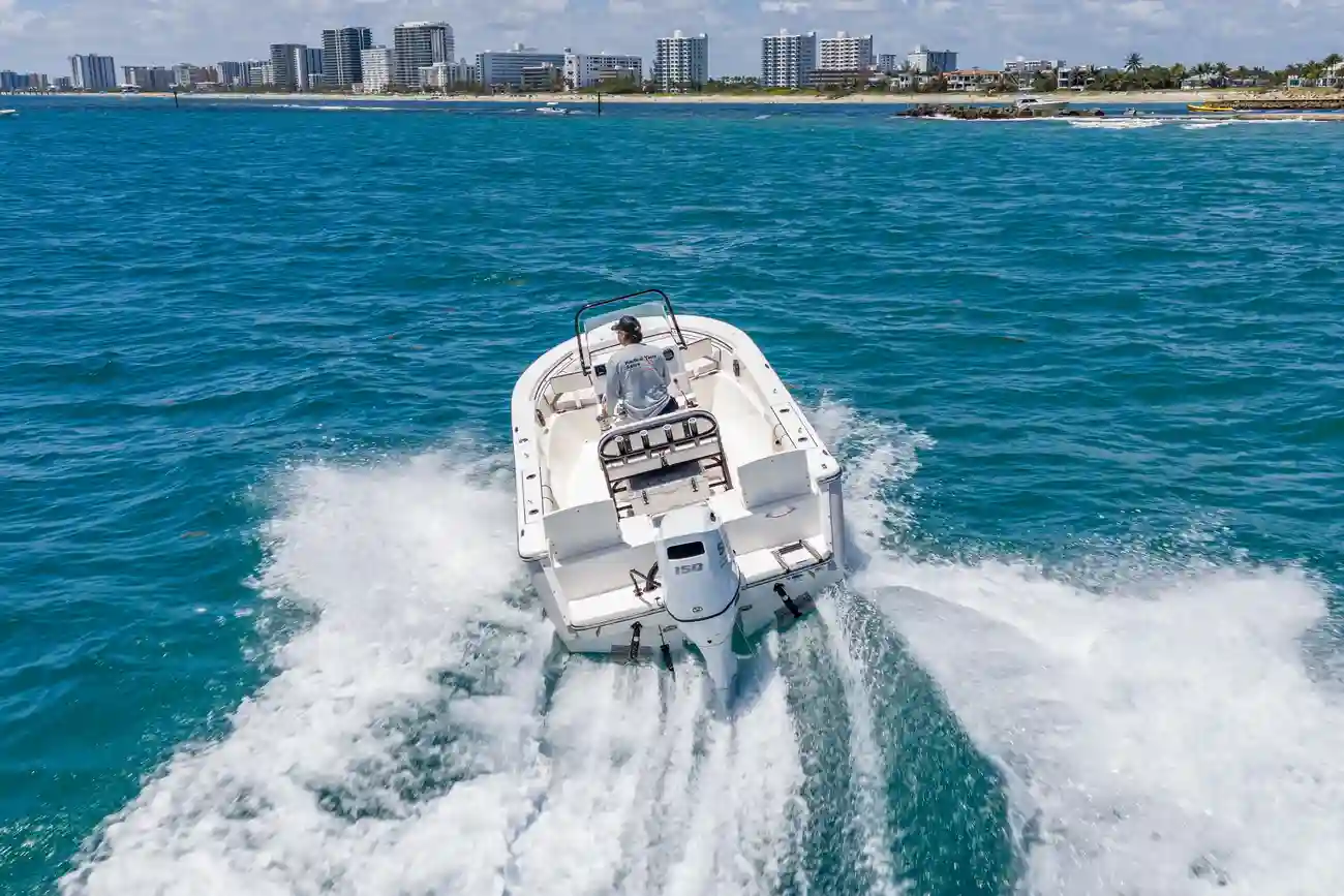 Sea Born LX21 - Image 7