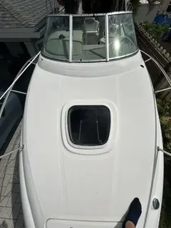 Sea Ray 240 Sundancer - Image 4